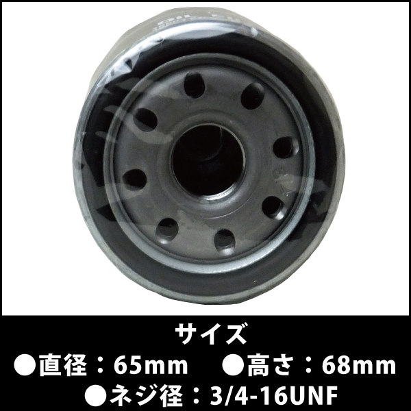 10個セットオイルフィルターエレメントDSO-1